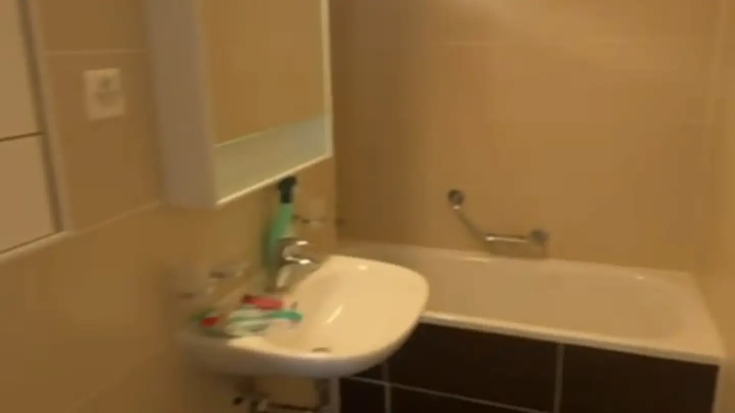 Appartamento in affitto - 1213 Petit-Lancy - Photo 3