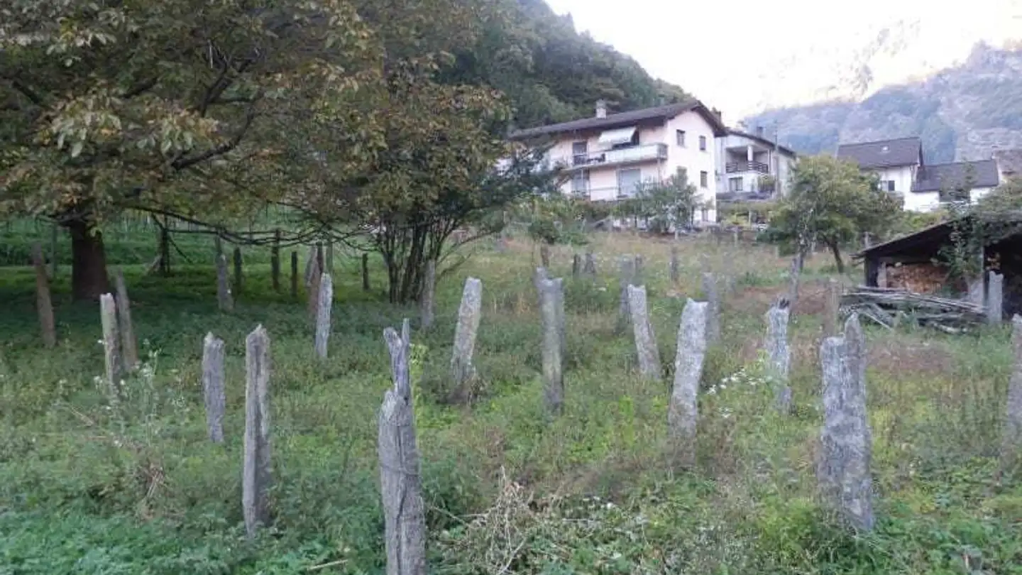 Bauland kaufen - Vallà, 6721 Ludiano