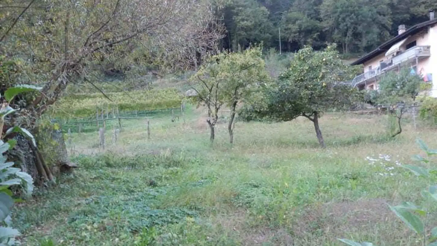 Bauland kaufen - Vallà, 6721 Ludiano - Foto 2