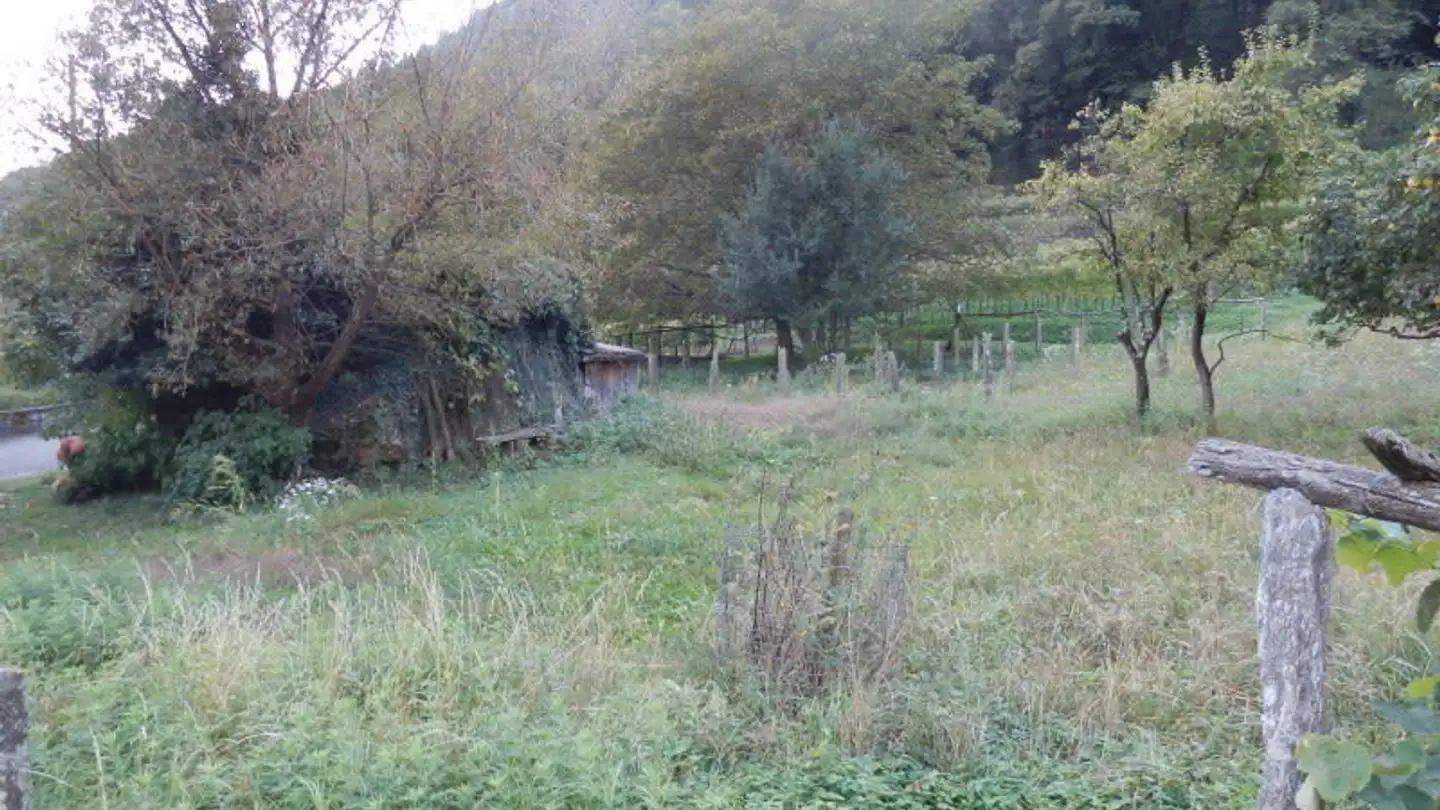 Bauland kaufen - Vallà, 6721 Ludiano - Foto 4