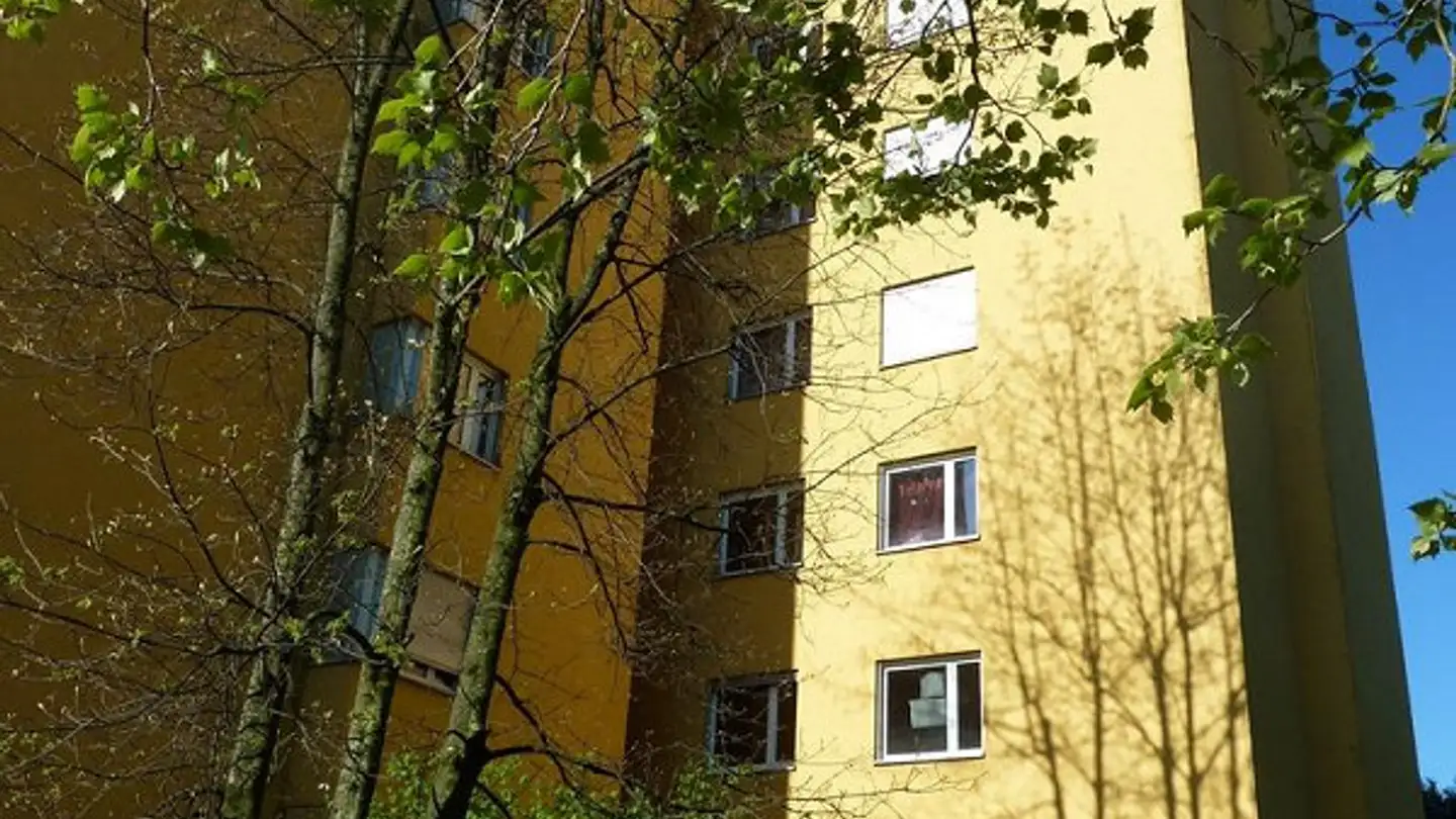 Appartamento in affitto - Oberseestrasse 59, 8640 Rapperswil SG