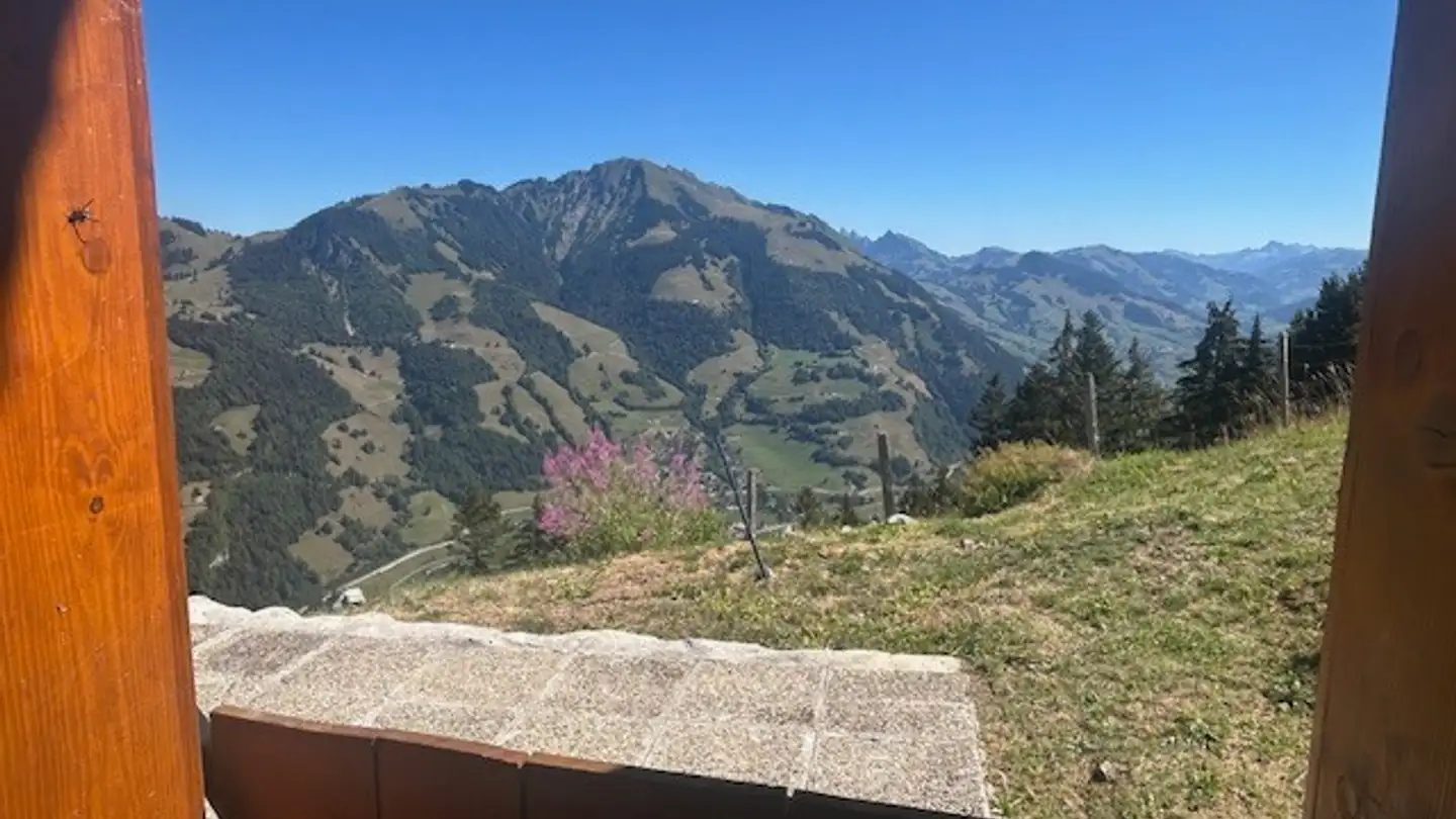 Chalet kaufen - Les Chamufins, 1658 Rossinière - Foto 4