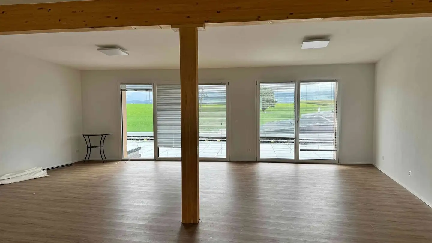 Commerciale in affitto - Route Des Molleyres 11, 1744 Chénens - Photo 4