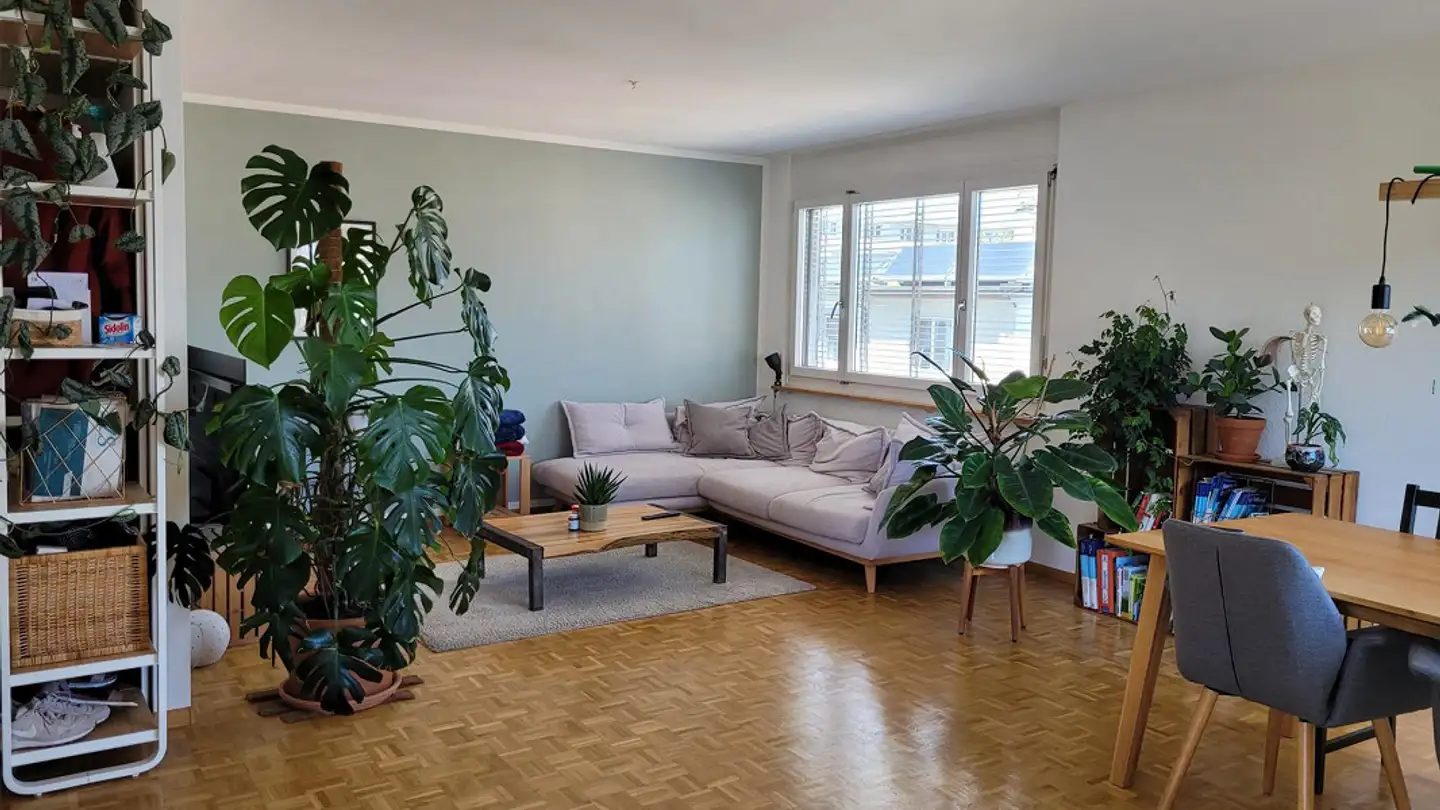 Appartamento in affitto - Pfirtergasse 20, 4054 Basel