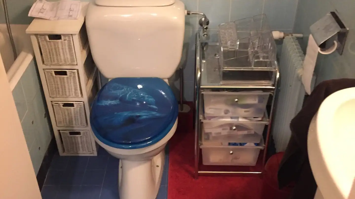 Wohnung mieten - Chemin De La Gradelle, 1224 Chêne-Bougeries