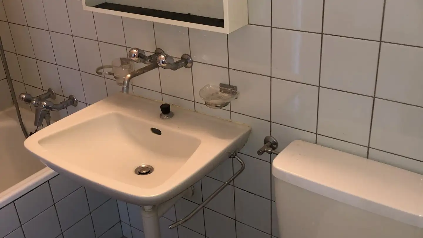 Apartment for rent - Hauptstrasse 49, 4102 Binningen - Photo 4