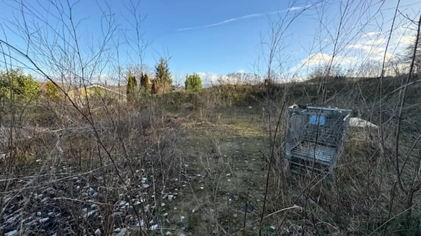 Commerciale in vendita - 3186 Düdingen - Photo 4