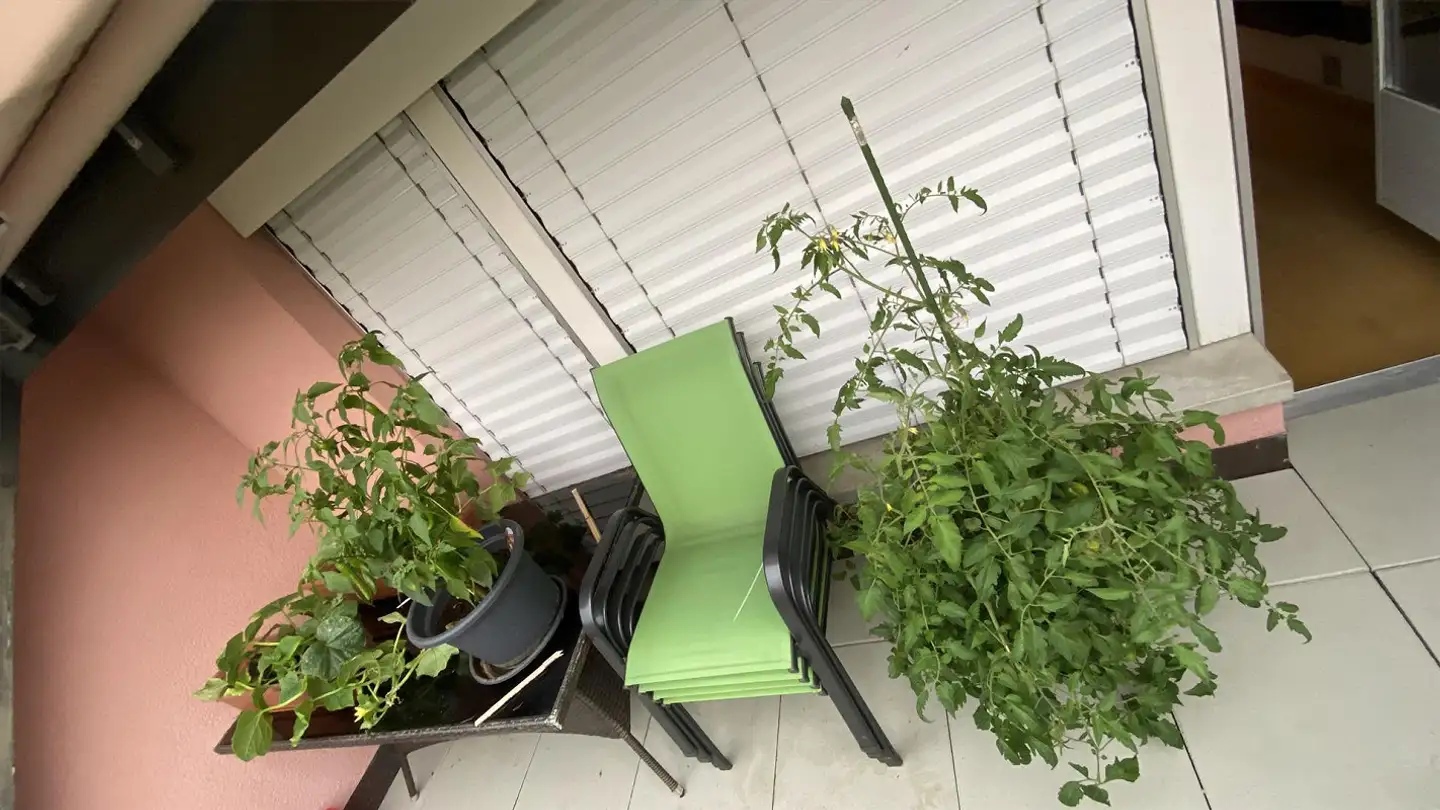 Wohnung mieten - Feldstandstrasse 14, 8590 Romanshorn