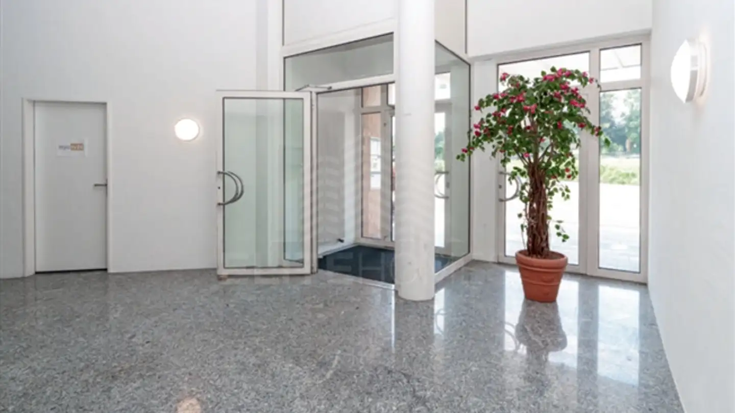 Kaufhaus kaufen - 5610 Wohlen AG - Foto 3