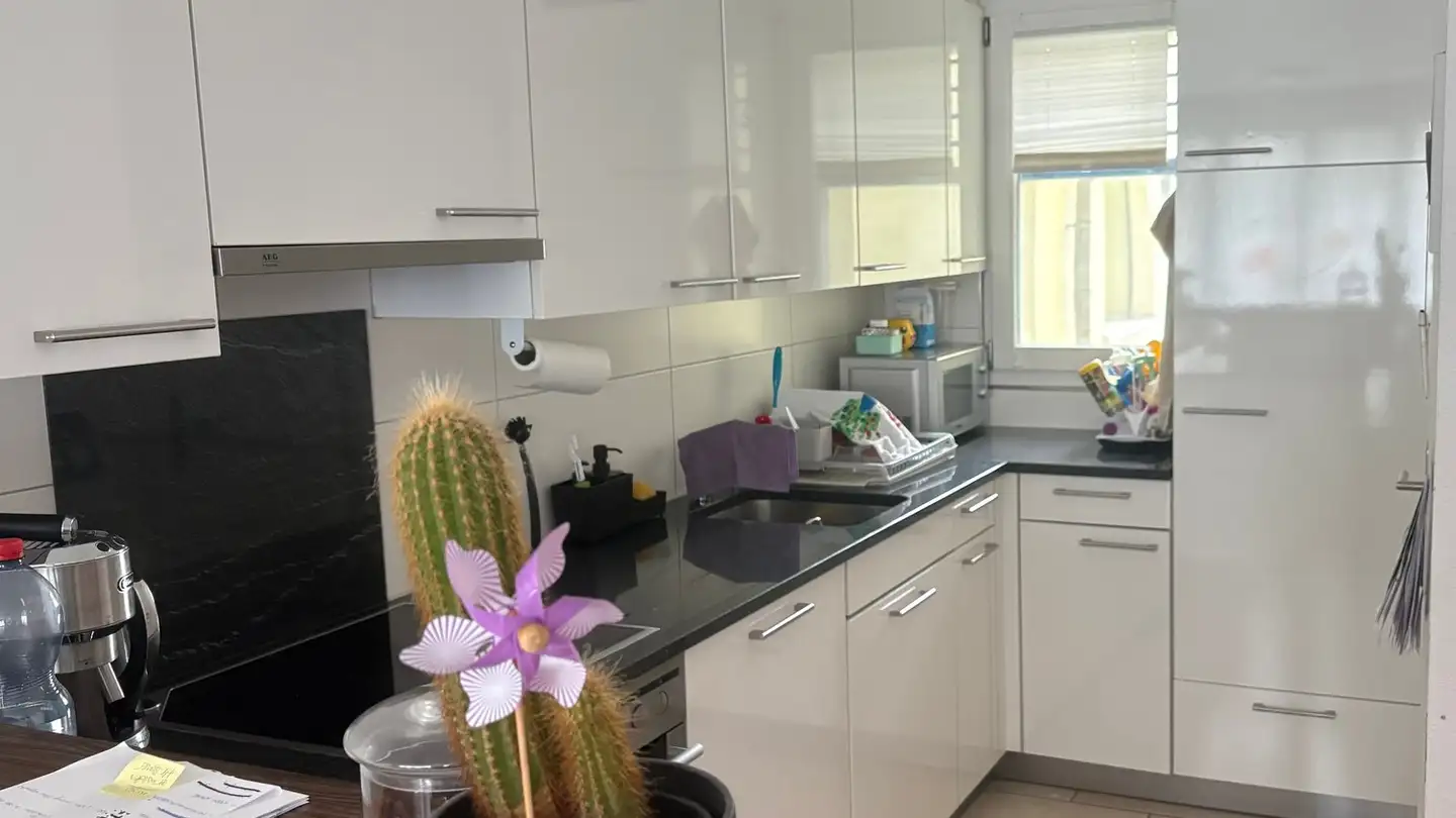 Appartement à louer - Zürcherstrasse 86a, 8953 Dietikon - Photo 2