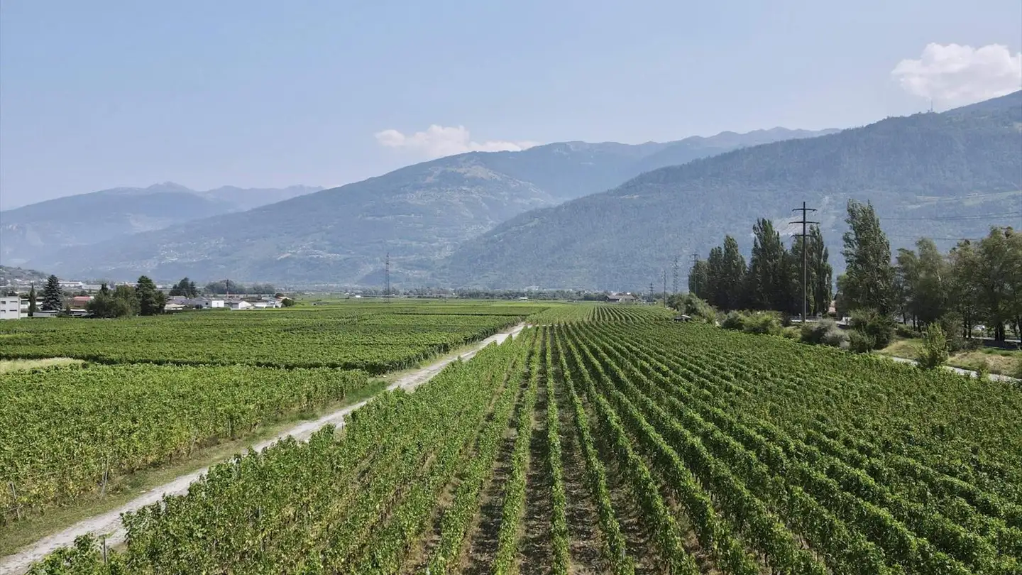 Attique à vendre - Route De La Lizerne 15, 1963 Vétroz - Photo 4