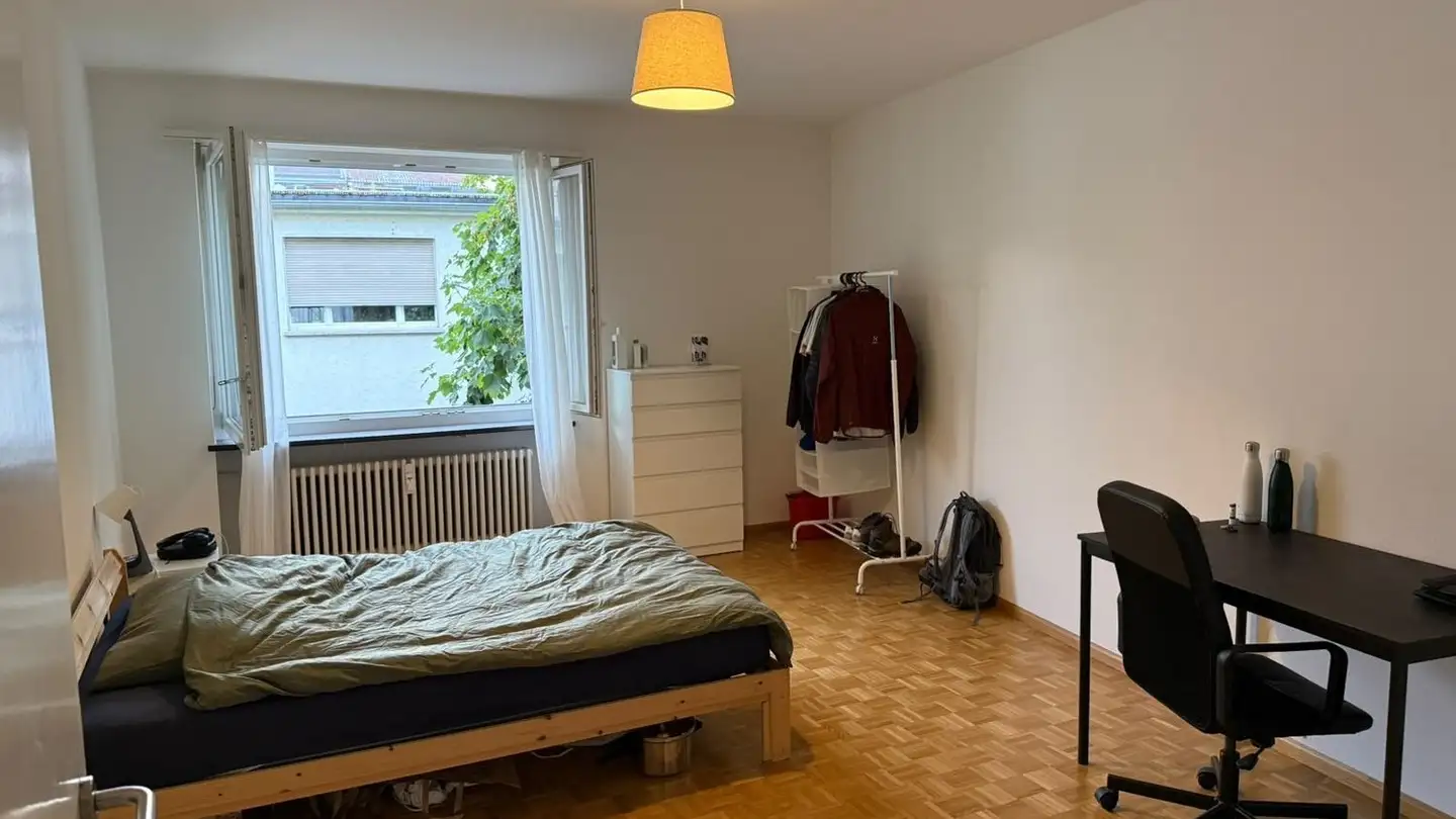 Stanza singola in affitto - Leimenstrasse, 4051 Basel