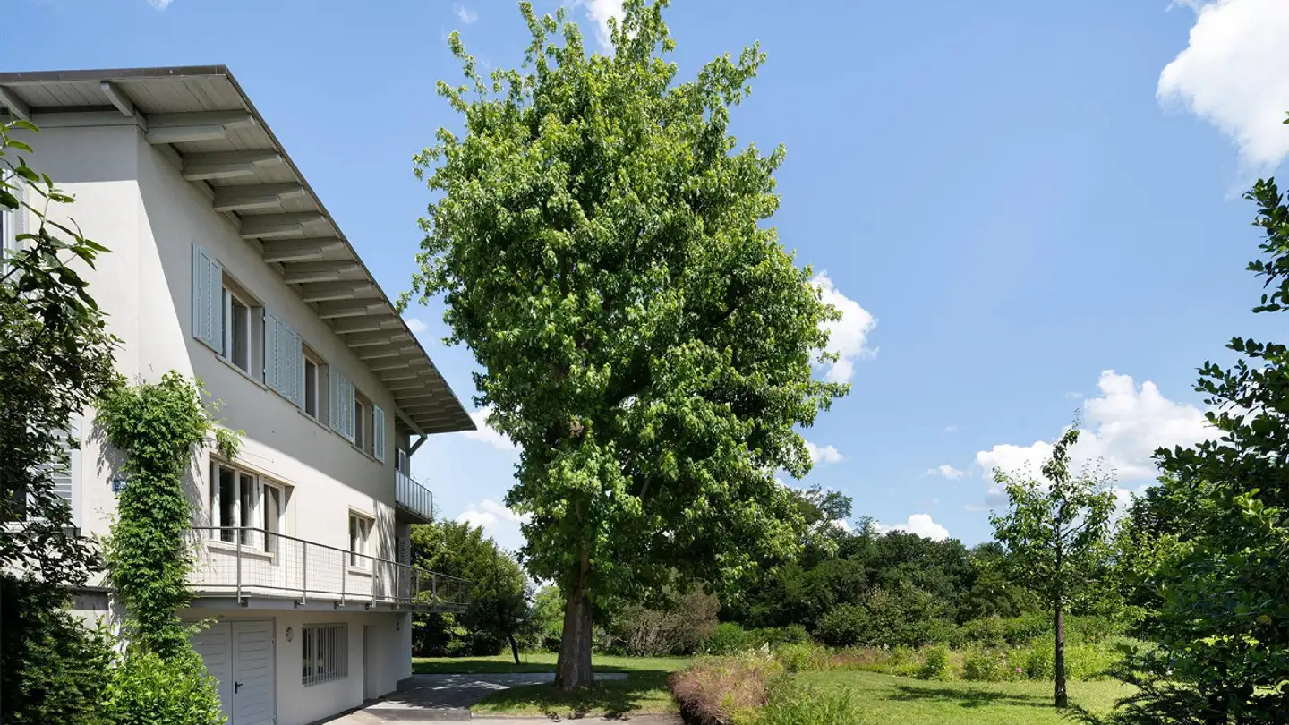 Single house for rent - Predigerhofstrasse 53, 4059 Basel