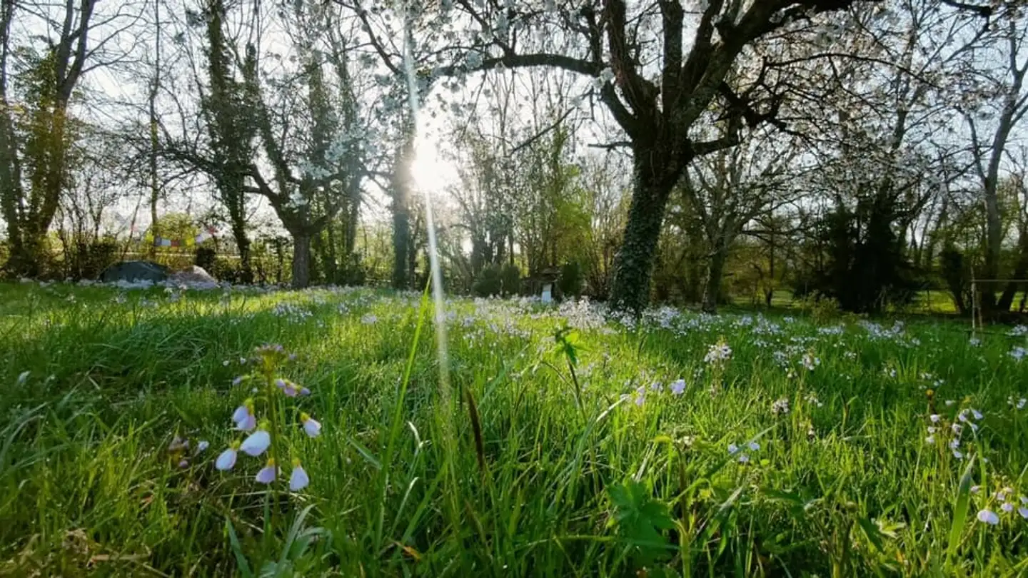 Appartement à vendre - 1247 Anières - Photo 3