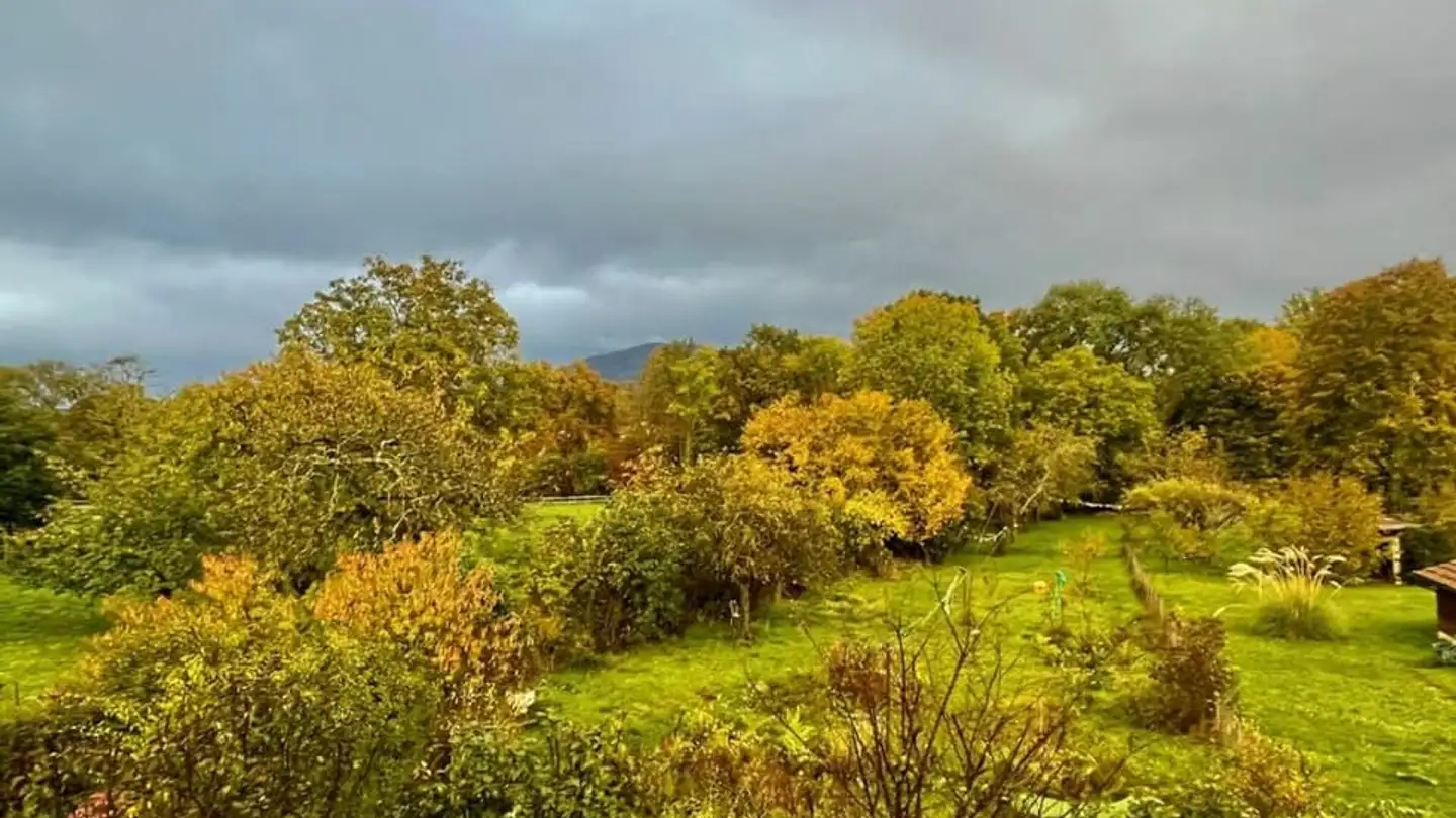 Appartement à vendre - 1247 Anières - Photo 4