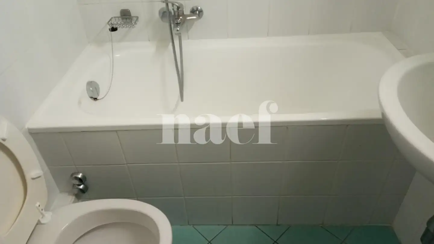 Appartamento in affitto - Chemin De La Mousse 28, 1225 Chêne-Bourg - Foto 4