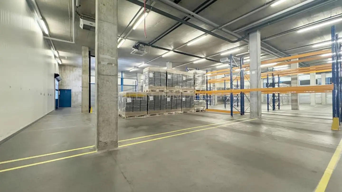 Gewerbe mieten - Route Du Petit-Moncor 7a, 1752 Villars-sur-Glâne - Foto 3