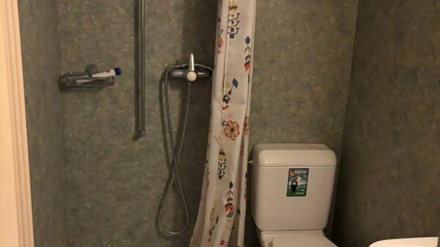 Apartment for rent - Rheinstäpflistrasse 2, 9444 Diepoldsau - Photo 2