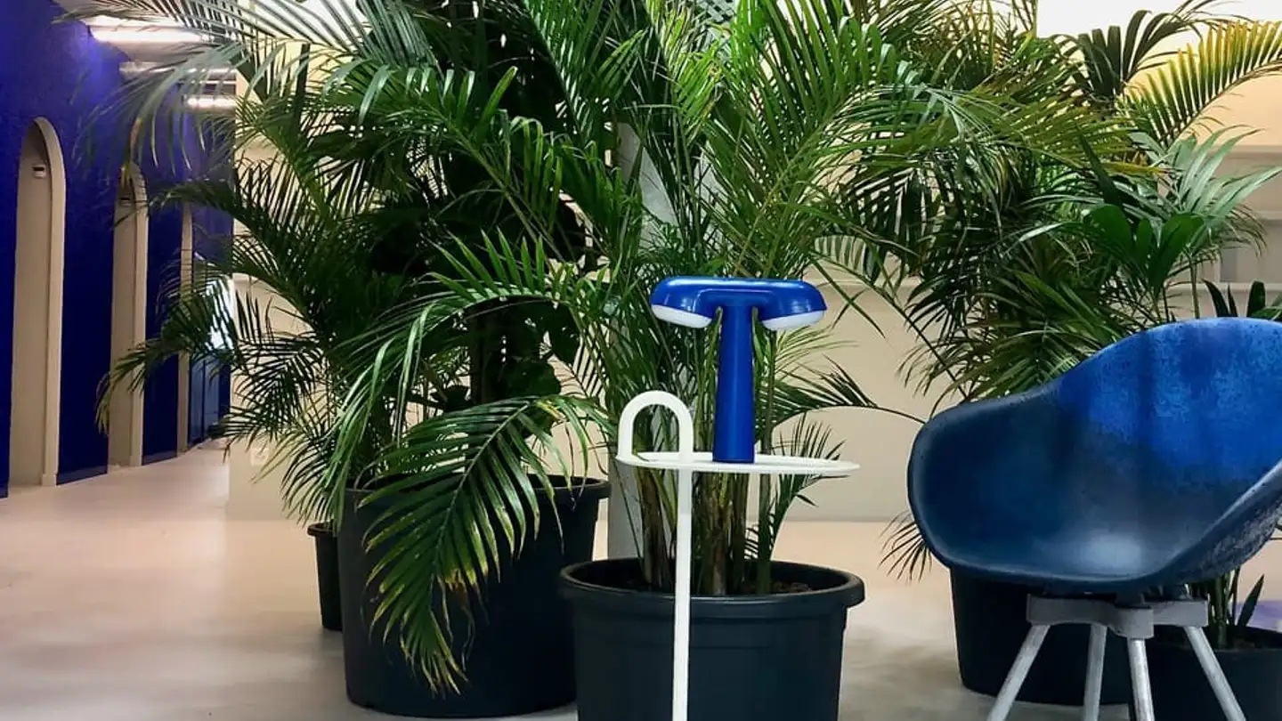 Commercial à louer - Chemin Du Champ-Des-Filles 36, 1228 Plan-les-Ouates