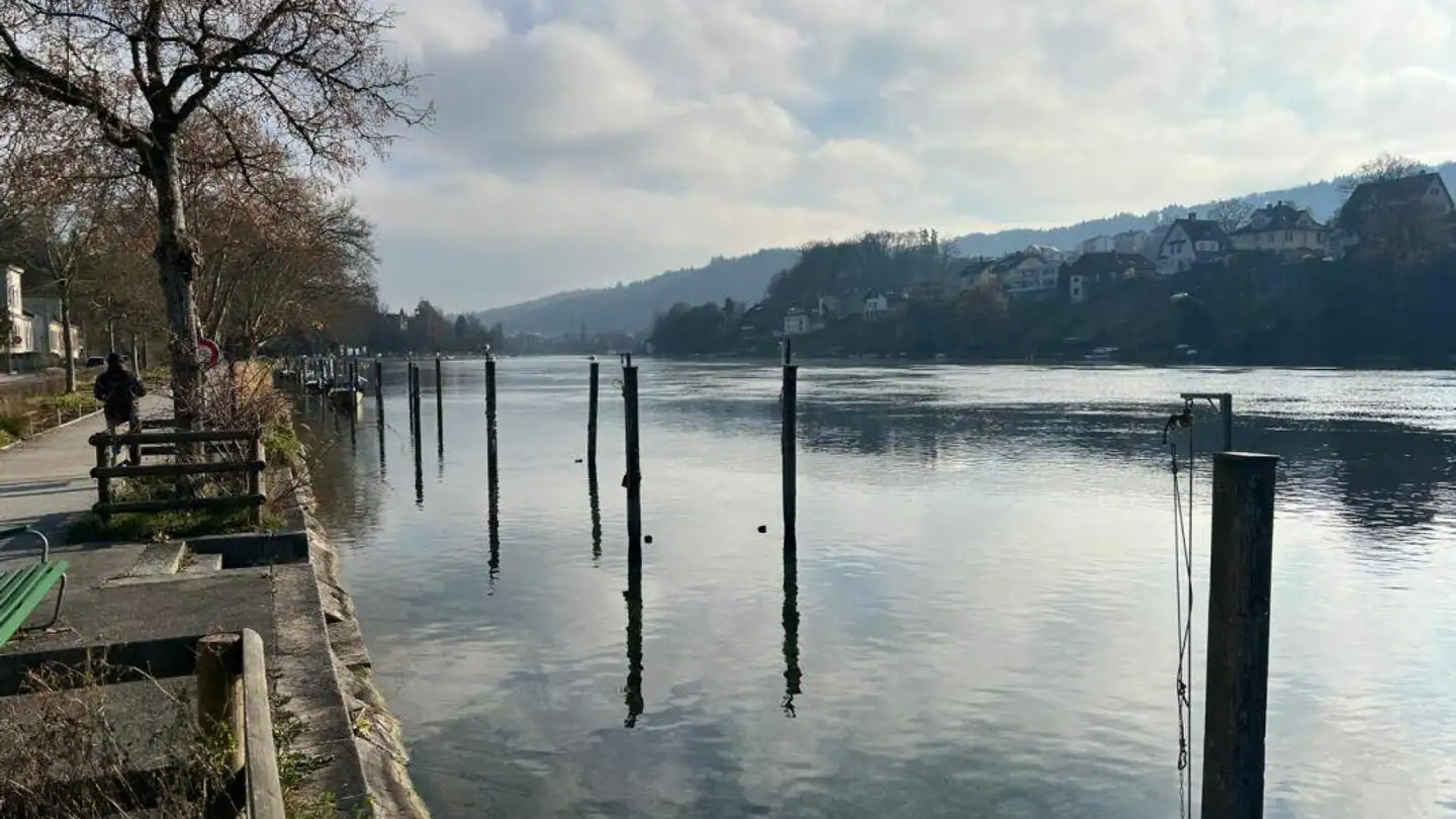 Appartement à louer - Rheinhaldenstrasse 9, 8200 Schaffhausen