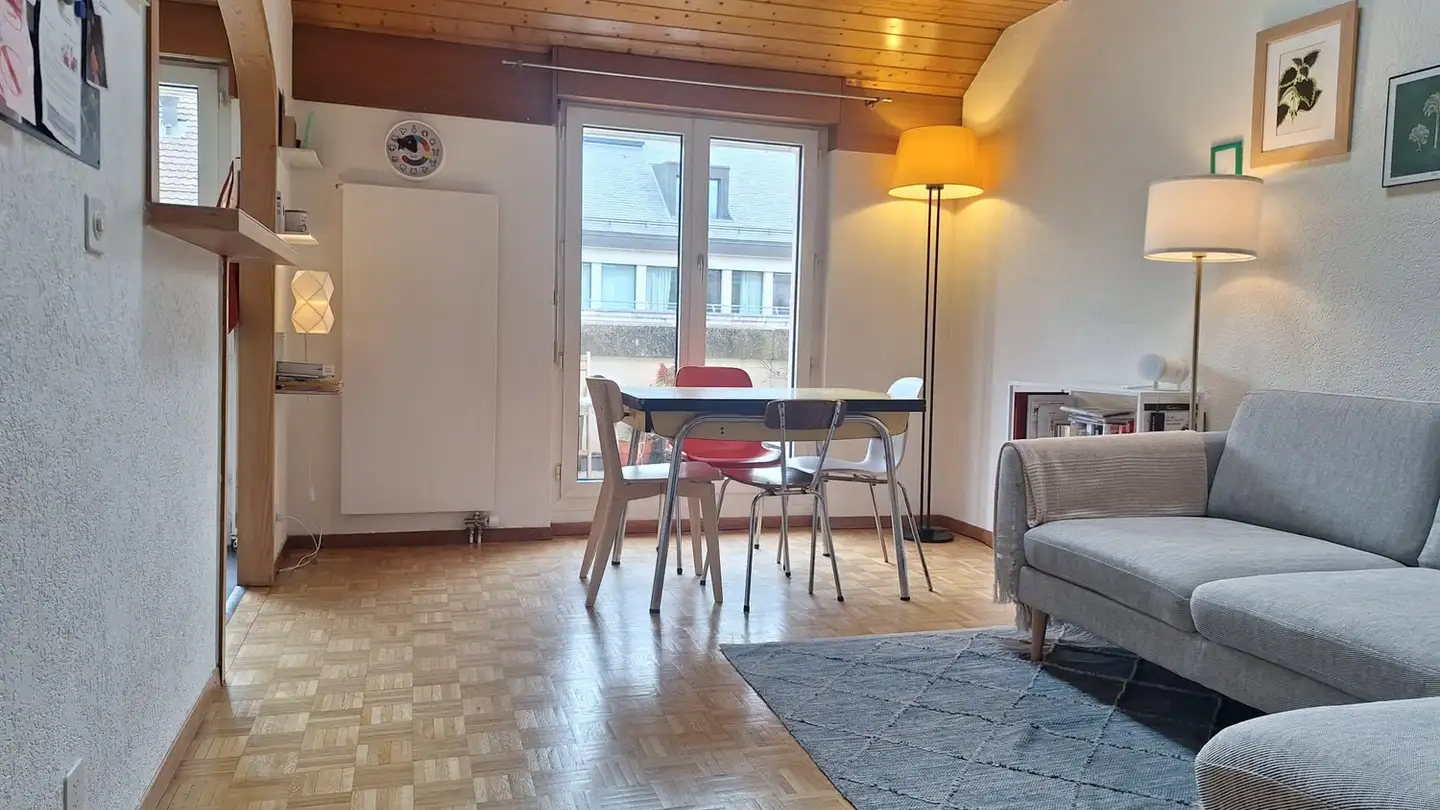 Apartment for rent - Rue Du Conseil-Général 18, 1205 Genève