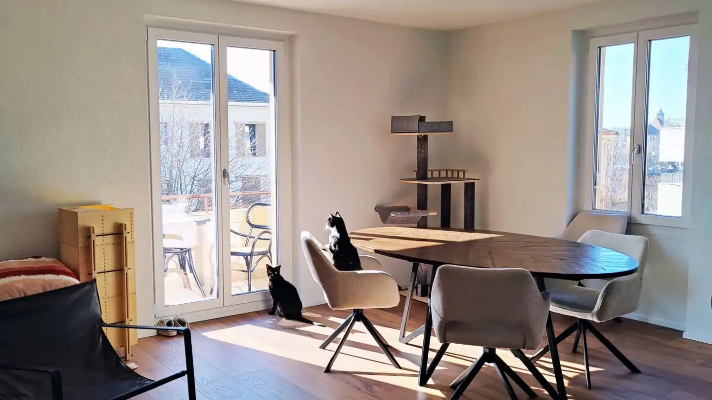 Appartamento in affitto - Rue Des Brévards 17, 2000 Neuchâtel