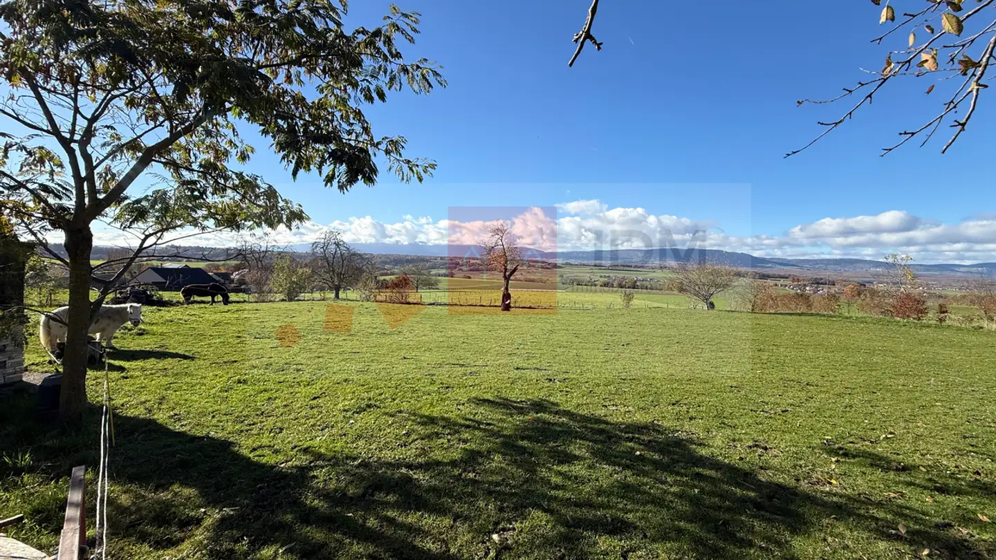 Single house for sale - En Praudi, 1306 Daillens - Photo 4