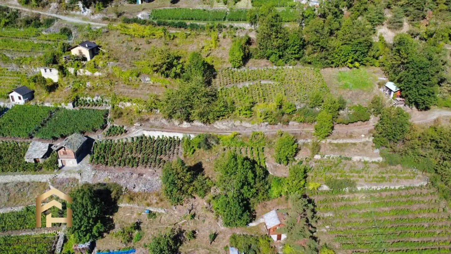 Commercial for sale - 3922 Stalden VS