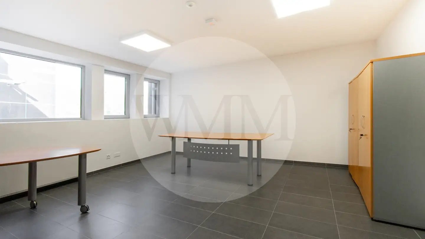 Bureau à louer - 6814 Lamone - Photo 2