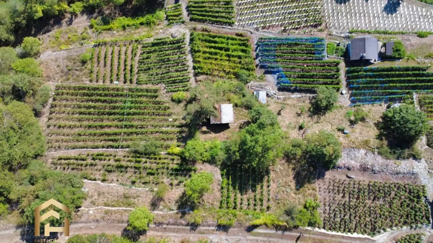 Commerciale in vendita - 3922 Stalden VS - Photo 2