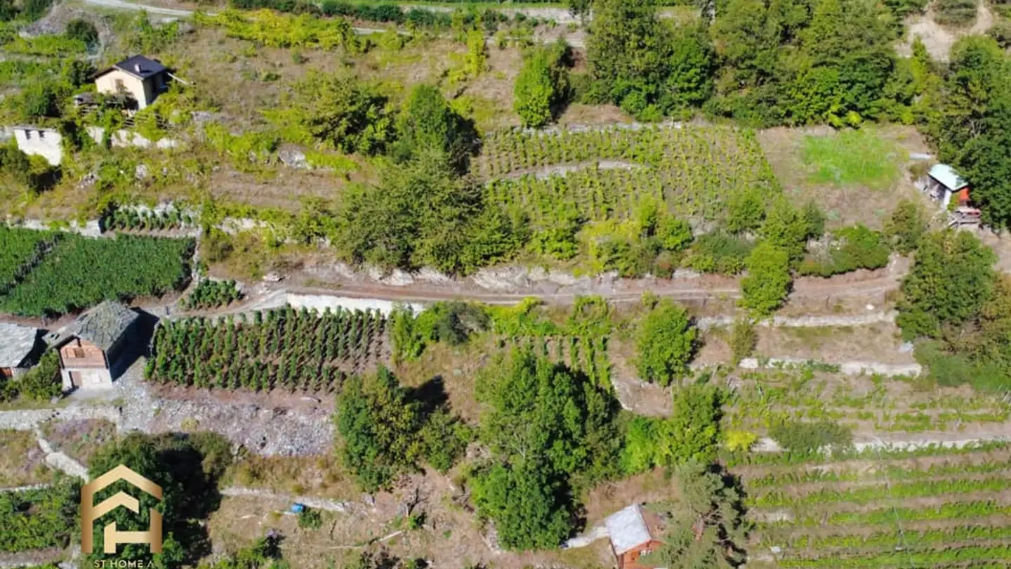 Commerciale in vendita - 3922 Stalden VS - Photo 3