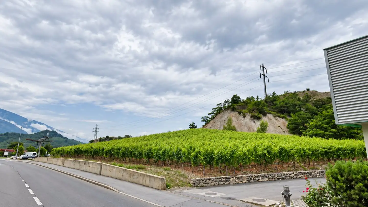 Commercial à vendre - 3960 Sierre