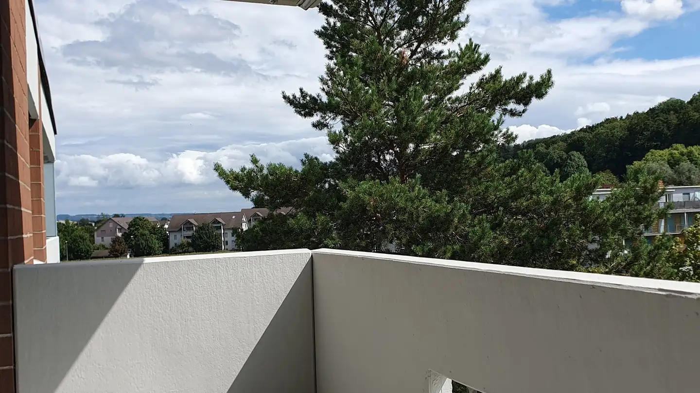 Wohnung mieten - Wellhauserweg 29c, 8500 Frauenfeld