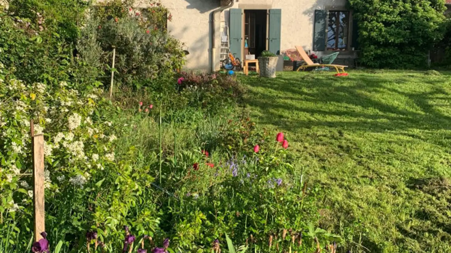 Single house for rent - 1251 Gy