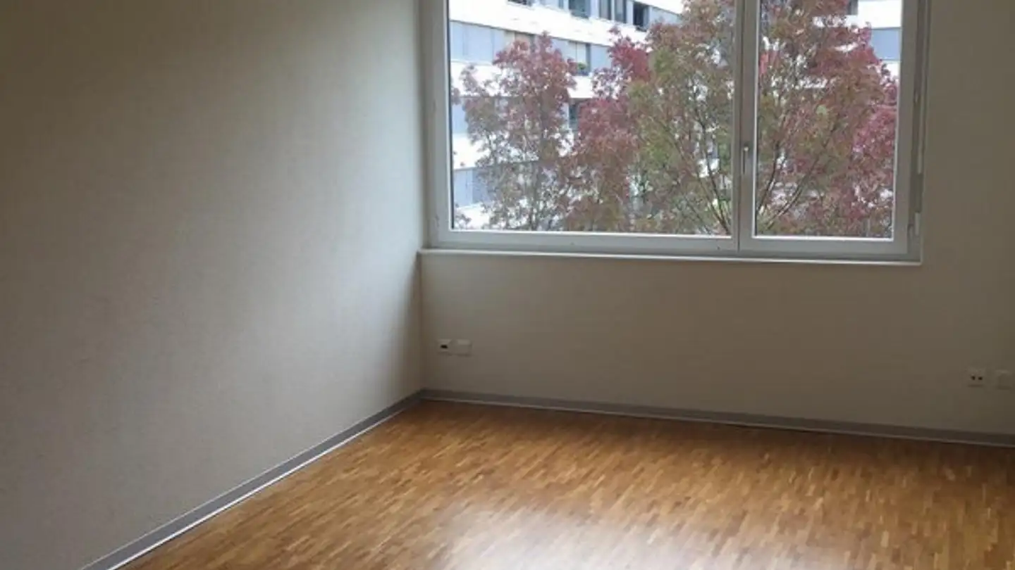 Wohnung mieten - Engstringerstrasse 6, 8952 Schlieren - Foto 4