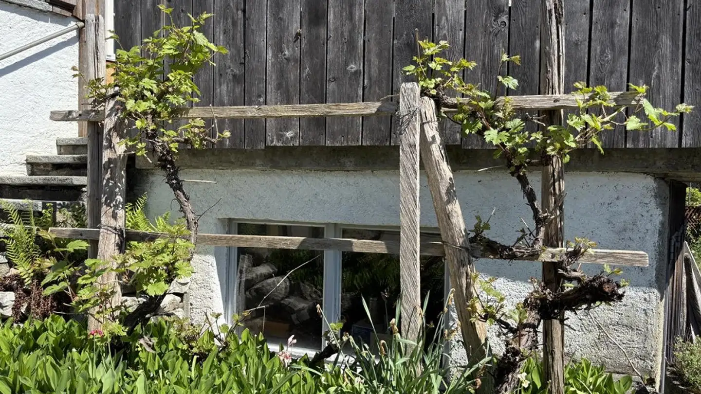 Casa singola in vendita - Dorfstrasse 2, 8165 Oberweningen - Photo 3