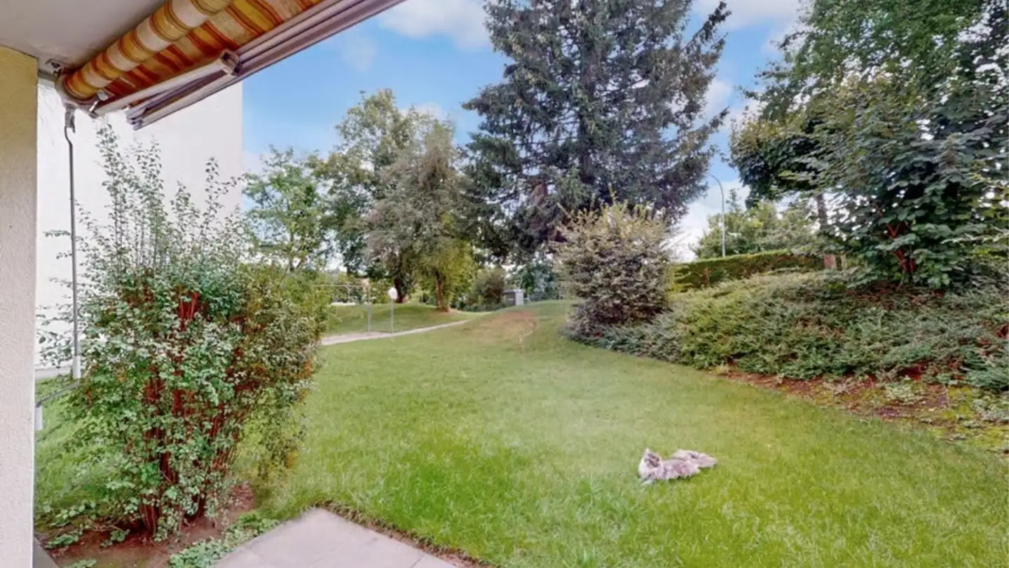 Appartement à louer - 8182 Hochfelden - Photo 2