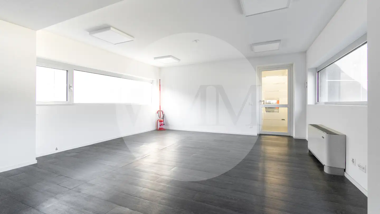 Bureau à louer - 6814 Lamone - Photo 2