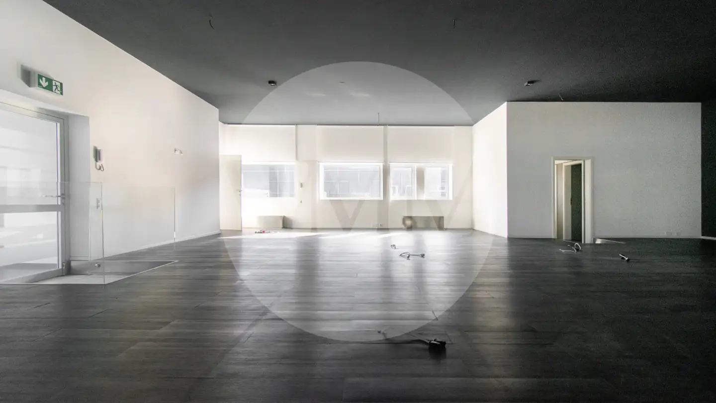 Bureau à louer - 6814 Lamone - Photo 3