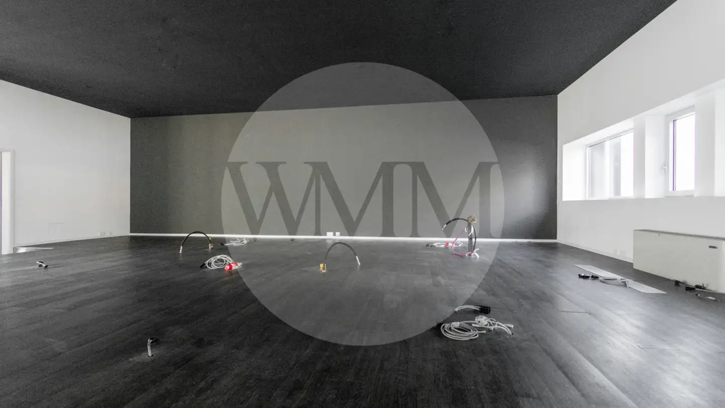 Bureau à louer - 6814 Lamone - Photo 4