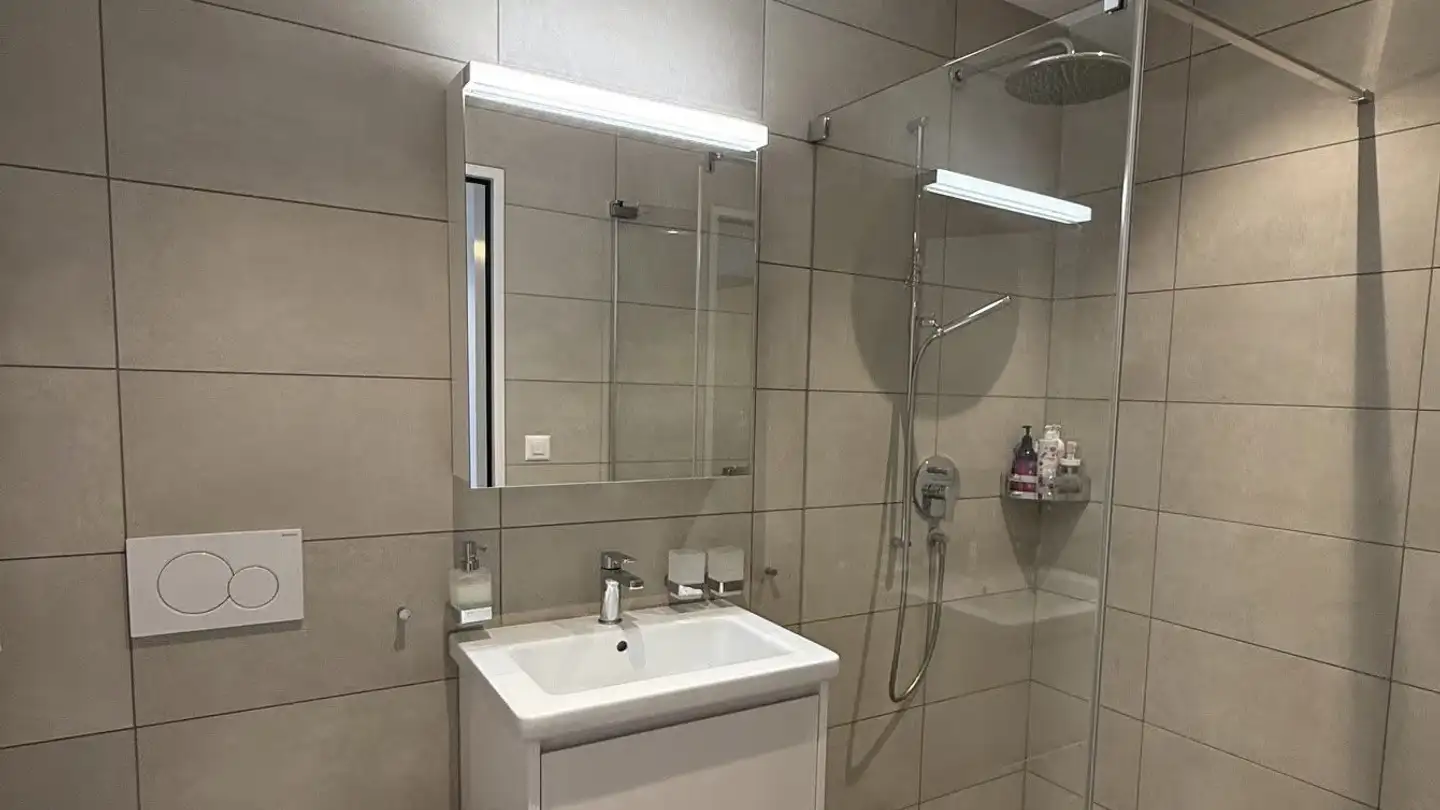 Apartment for rent - Altschlossstrasse 11, 8805 Richterswil - Photo 3