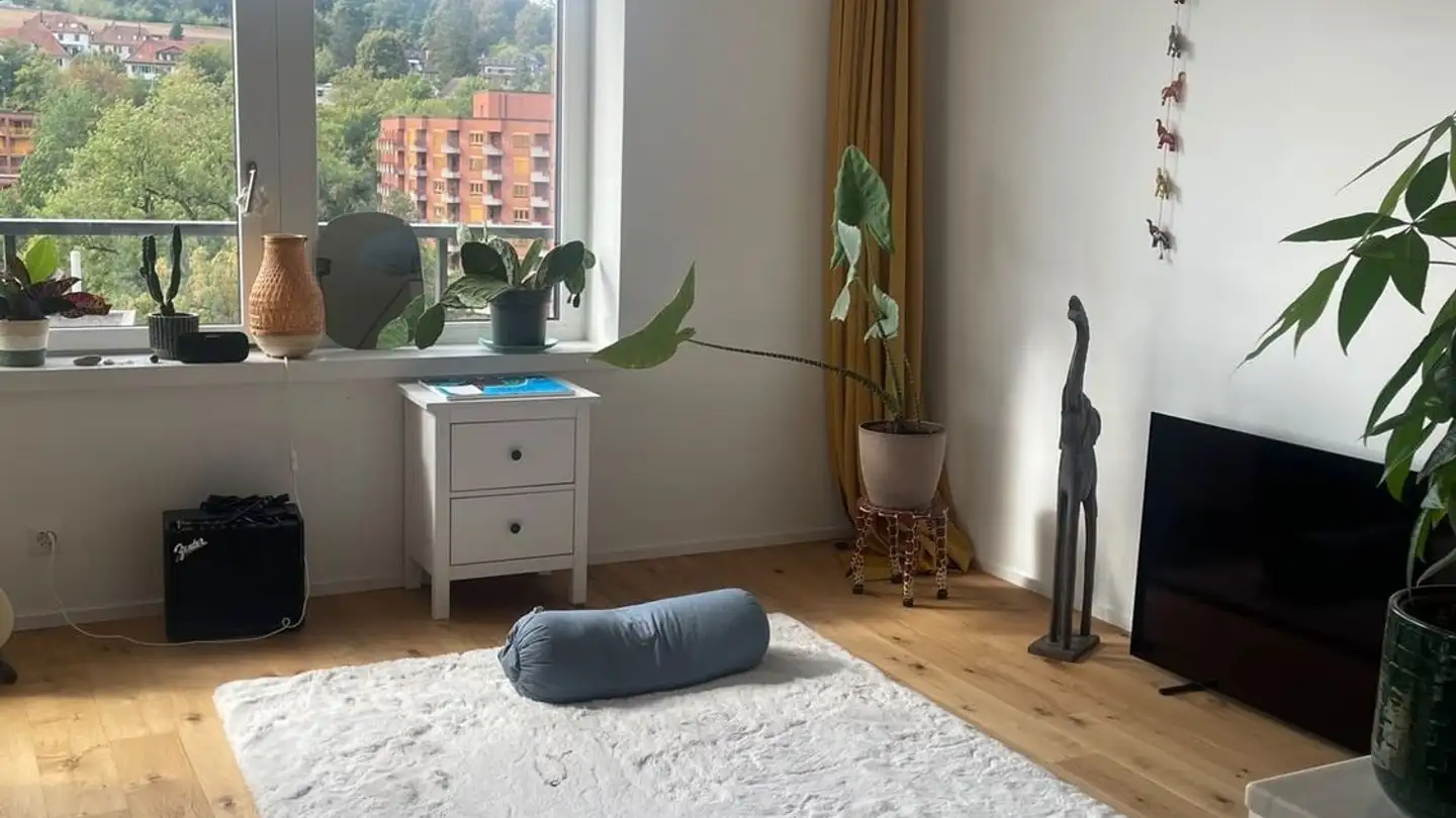 Appartamento in affitto - Ernst-Jung-Gasse 18, 8400 Winterthur - Foto 3