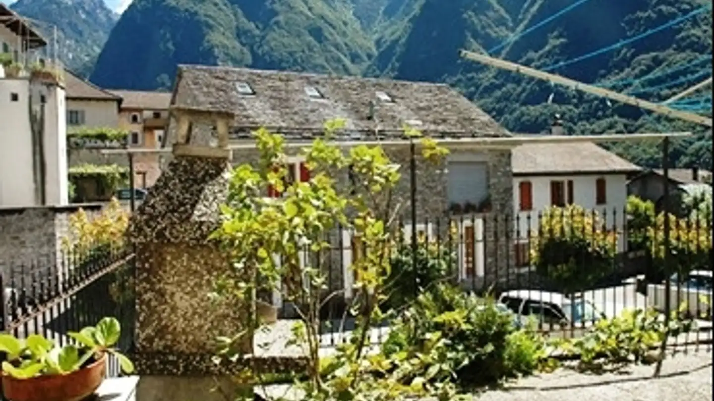 Edificio residenziale in vendita - 6537 Grono - Photo 3