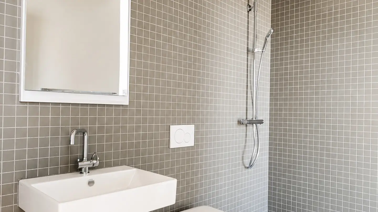 Appartement à louer - Allmendweg 16, 5000 Aarau