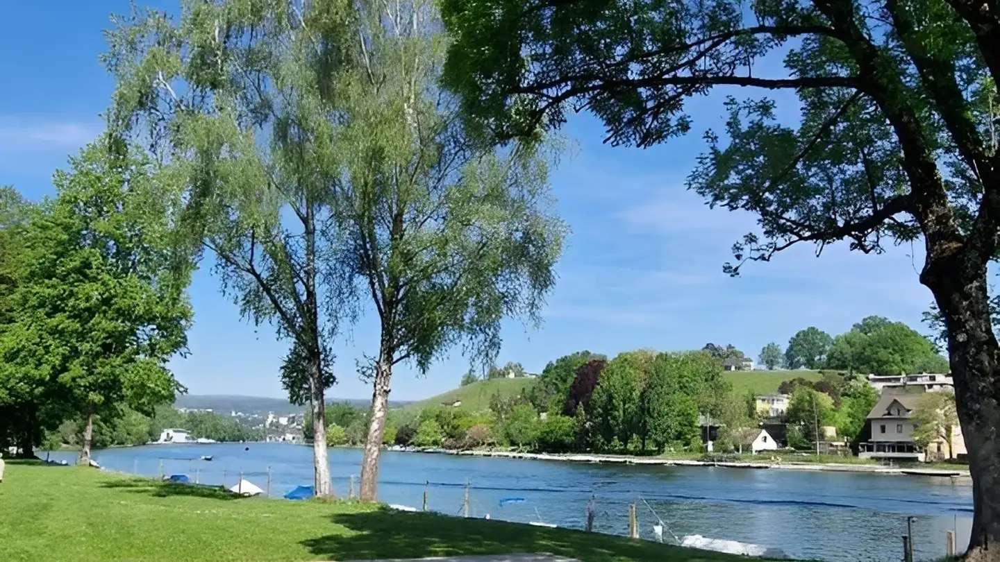 Furnished apartment for rent - 8246 Langwiesen