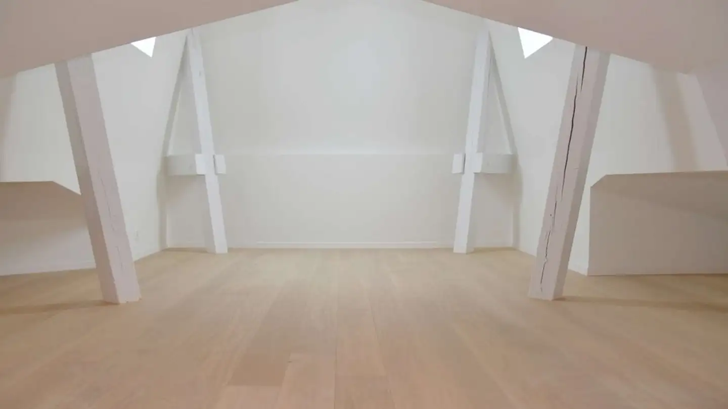 Duplex in affitto - Rue Jean-Jacques-Cart 8, 1006 Lausanne