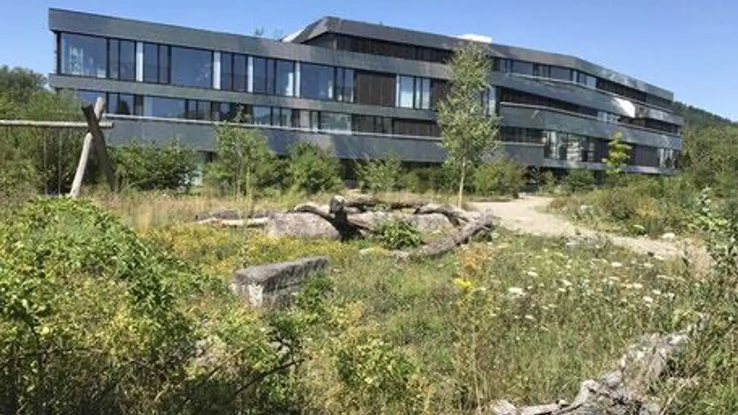 Attique à louer - Aarestrasse 11b, 5412 Vogelsang AG - Photo 2