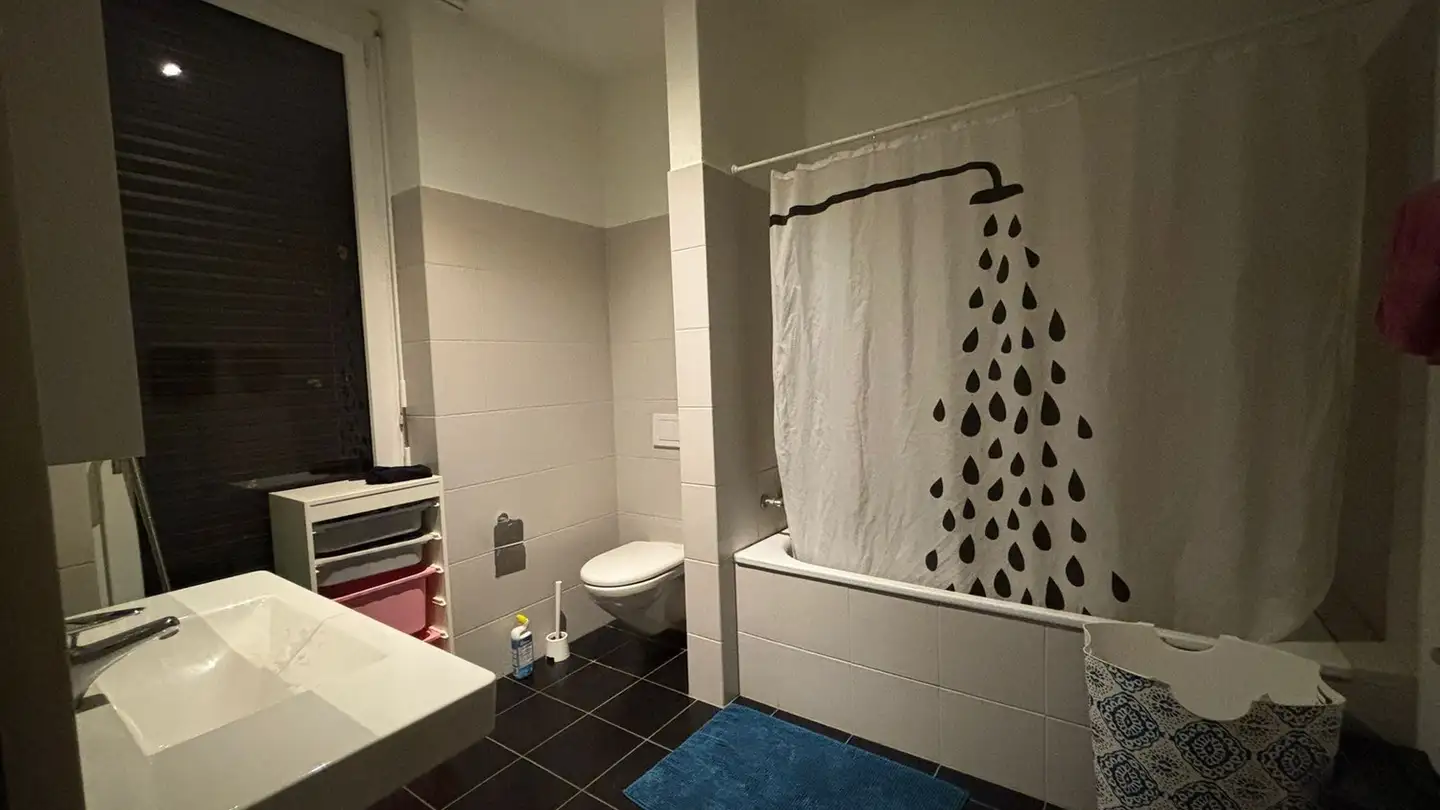 Zimmer mieten - Katzenbachstrasse 219, 8052 Zürich - Foto 2