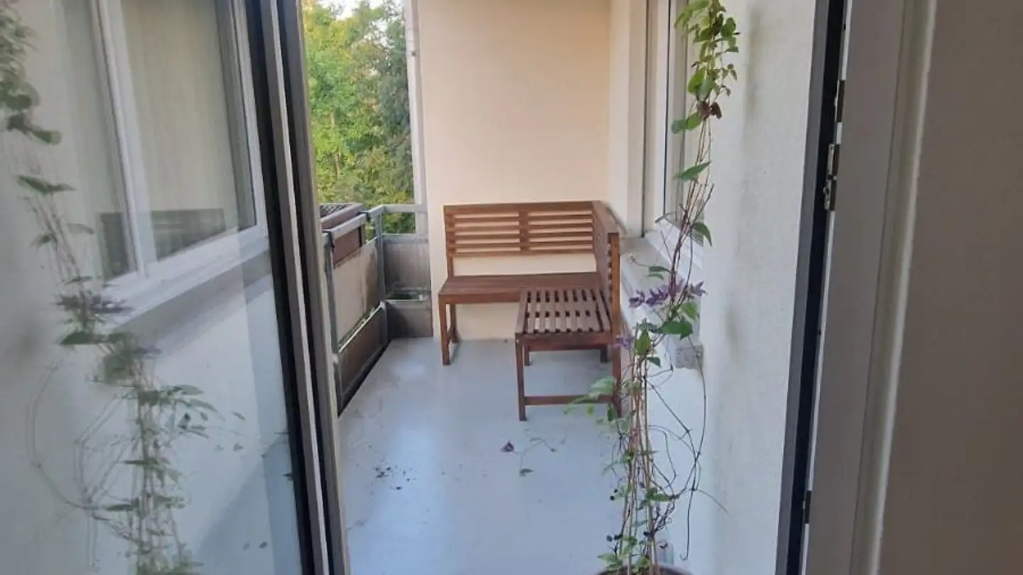 Appartement à louer - Brunnicher 4, 5707 Seengen