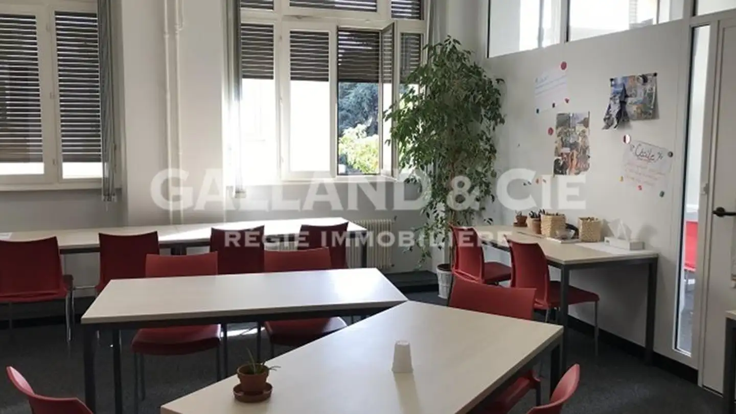 Office space for rent - Rue Du Simplon 25, 1006 Lausanne - Photo 3